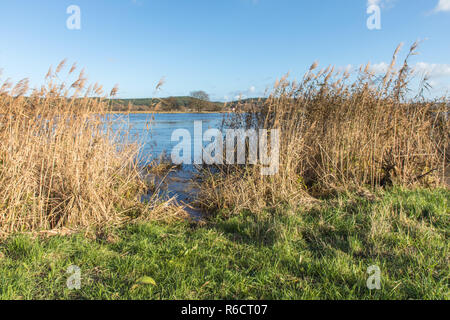 Paesaggio fluviale di oderbruch Foto Stock