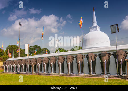 Una linea chiusa di elefanti scolpiti proteggere il Ruwanwelisaya Stupa in città sacra di Anuradhapura in Sri Lanka Foto Stock