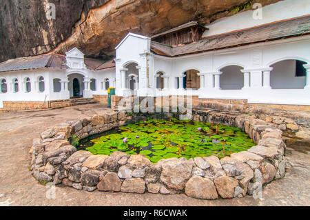 Ingresso di Dambulla Tempio d'oro la più grande e la Grotta Best-Preserved tempio complesso In Sri Lanka Foto Stock