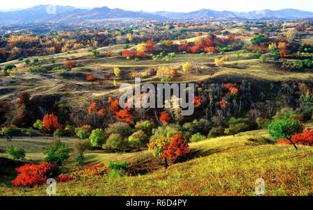 (181205) -- PECHINO, Dicembre 5, 2018 (Xinhua) -- fotografia scattata in ottobre 2006 mostra lo scenario di Hunshandake Sandland nel nord della Cina di Mongolia Interna Regione Autonoma. La Cina è stata offrendo il suo impegno per la comunità internazionale sul cambiamento climatico in modo continuo il passaggio a una più green economy negli ultimi anni. Nuova energia-regioni ricche come la Mongolia Interna e Ningxia stanno inviando più elettricità generata da energia pulita per il paese della movimentata est per contribuire a ridurre il paese della forte dipendenza da carbone nella lotta contro l' inquinamento e fronteggiare i cambiamenti climatici. C Foto Stock