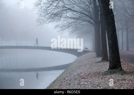 Kassel, Germania. 05 Dic, 2018. In un freddo gelido e nebbiosa mattina una donna e il suo cane attraversare il ponte sul fosso di cucina in Karlsaue. Credito: Uwe Zucchi/dpa/Alamy Live News Foto Stock