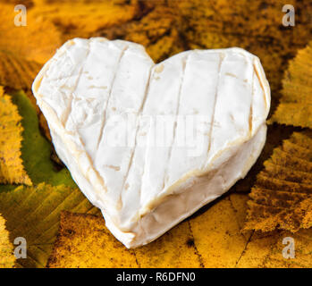 Il francese Neufchatel formaggio a forma di cuore su foglie di autunno Foto Stock