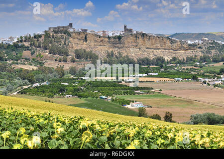 Paesaggio con casa colonica Bianchi Girasoli e Arcos De La Frontera Andalucía Spagna Foto Stock