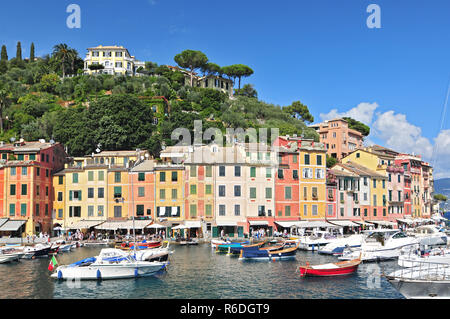 Il porto di Portofino, il Golfo del Tigullio, Liguria, Riviera Ligure, Italia Foto Stock