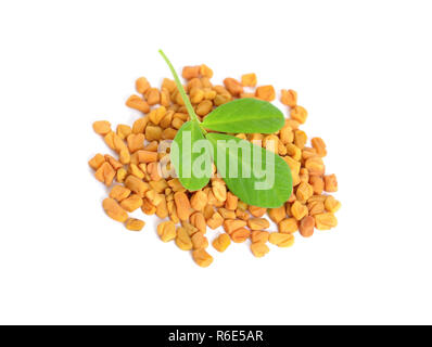 Fenugreek seme con leawes. (Trigonella foenum-graecum) Foto Stock