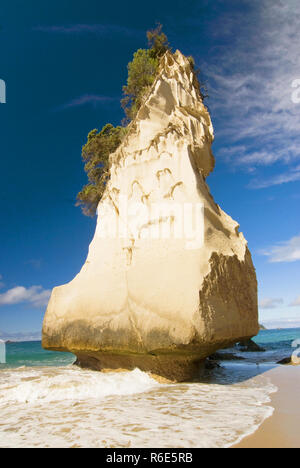 Bianco calcare formazioni rocciose e la spiaggia di sabbia fine a Cove della cattedrale sulla Penisola di Coromandel in Nuova Zelanda, Isola del nord Foto Stock