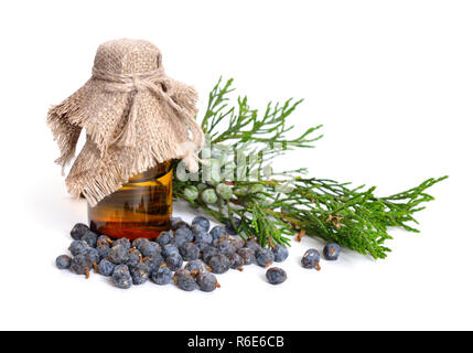 Juniperus sabina con verde e mature coni (bacche). Olio essenziale nel flacone farmaceutico. Isolato su bianco. Foto Stock