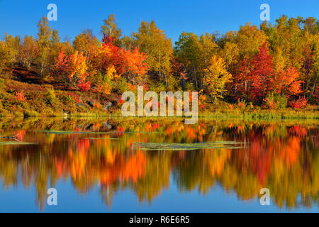 Il fogliame di autunno si riflette in un stagno di castoro, maggiore Sudbury, Ontario, Canada Foto Stock