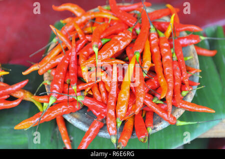 Il rosso e il giallo i peperoncini sul mercato a San Cristobal De Las Casas, Chiapas, Messico Foto Stock