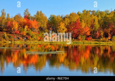 Il fogliame di autunno si riflette in un stagno di castoro, maggiore Sudbury, Ontario, Canada Foto Stock