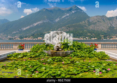 Ninfee piante nei giardini di Villa Melzi Deril a Bellagio, Lago di Como, Lombardia, Italia Foto Stock