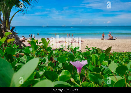Nai Harn Beach sull'isola di Phuket, Tailandia Foto Stock