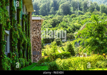 Dilijan,Armenia,agosto 24,2018:Lato facciata dell'edificio educativo del Collegio Internazionale con pareti rivestite con piante ornamentali,individuare Foto Stock