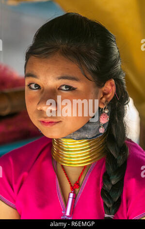 Collo lungo le donne dalla tribù Karen Thailandia Foto Stock