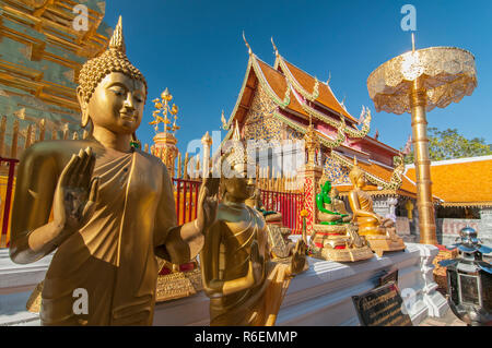 Linea di Golden Buddha al Wat Phrathat Doi Suthep Chiang Mai Thailandia Foto Stock