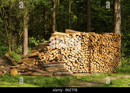 Preparazione della legna da ardere per l'inverno. Foto Stock
