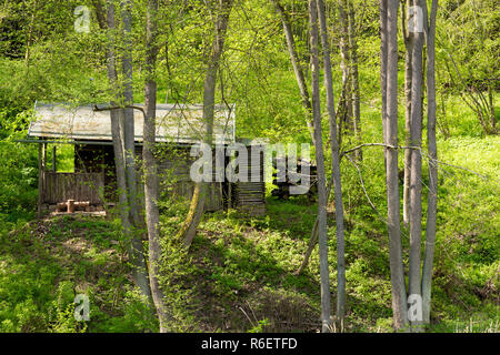 Capanna nel profondo della foresta verde Foto Stock