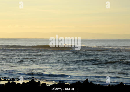 Surfer sulla cresta dell onda al Crab Island, Gower Foto Stock