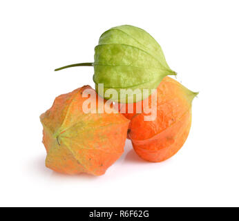 Physalis. Altri nomi poha bacche, semplicemente acini dorati, groundcherries, Inca peruviana berry, Cape gooseberry. isolato. Foto Stock