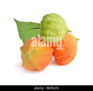 Physalis. Altri nomi poha bacche, semplicemente acini dorati, groundcherries, Inca peruviana berry, Cape gooseberry. isolato. Foto Stock