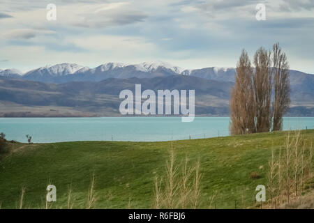 Viste di alberi e di un lago in autunno Foto Stock