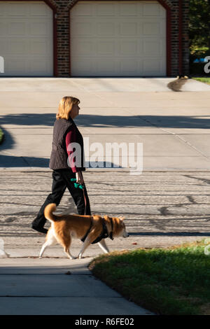 Una donna caucasica adulta di mezza età che cammina un cane in una strada del quartiere in autunno. STATI UNITI. Foto Stock