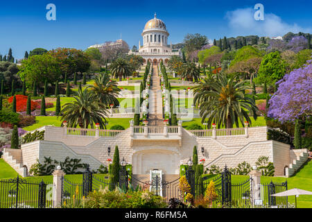 Vista dei giardini Bahai e il santuario del Bab sul Monte Carmelo a Haifa, Israele Foto Stock