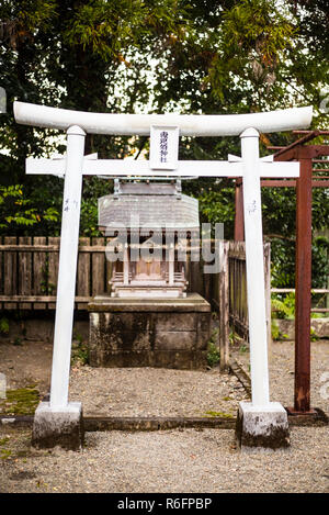 Miyazaki, Kyushu, Giappone: Bianco torii gate a Oddone Santuario, Miyazaki City Foto Stock