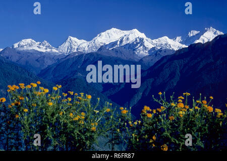 Montagna Kangchenjunga, montagna Kanchenjunga, Grande catena montuosa Himalaya, sikkim, india, asia Foto Stock