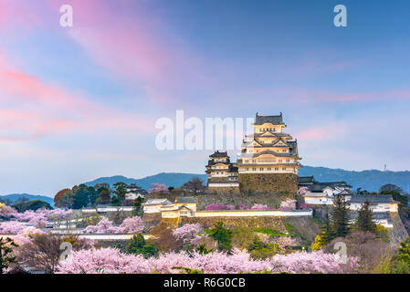 Himeji, Giappone presso il castello di Himeji durante la primavera la fioritura dei ciliegi stagione. Foto Stock