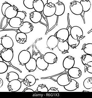 Biancospino bacche vector pattern su sfondo bianco Illustrazione Vettoriale