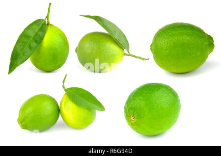 Set di lime Foto Stock