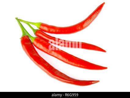 Chili Peppers isolati su sfondo bianco Foto Stock