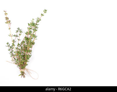 Il timo su bianco Foto Stock