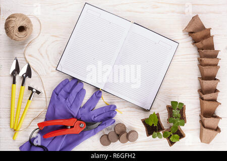 Utensili da giardinaggio e piantine. Foto Stock