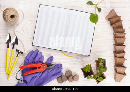 Utensili da giardinaggio e piantine. Foto Stock