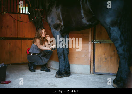 Donna horseman pulisce dallo sporco con spazzola il frisone cavallo in maneggio in azienda, avendo cura di animali di razza pura Foto Stock