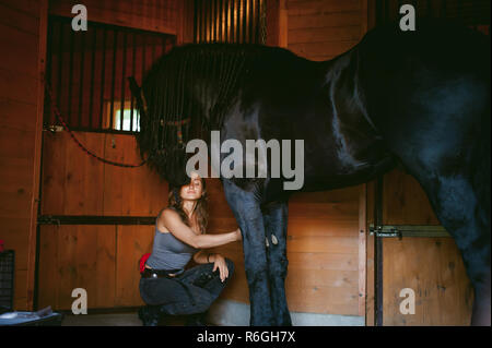 Donna horseman pulisce dallo sporco con spazzola il frisone cavallo in maneggio in azienda, avendo cura di animali di razza pura Foto Stock