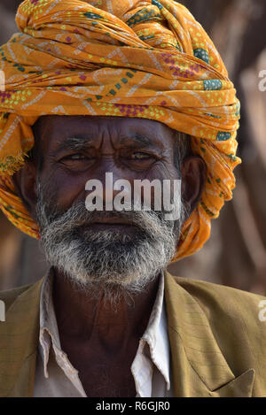 Anziani di sesso maschile di Rajasthani, indossando un tradizionale colorato turbante, di guardare direttamente la telecamera, Rajasthan, India, Asia. Foto Stock