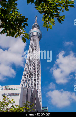 Tokyo Sky Tree Foto Stock