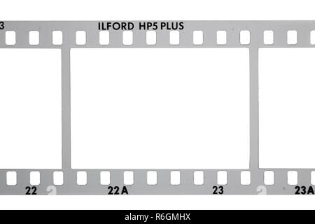 Ilford 35mm telaio negativo isolato su uno sfondo bianco Foto Stock