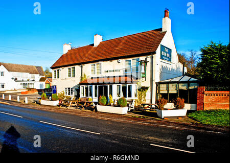 Il Blue Bell, Bishopton, Stockton on Tees, Cleveland, Inghilterra Foto Stock