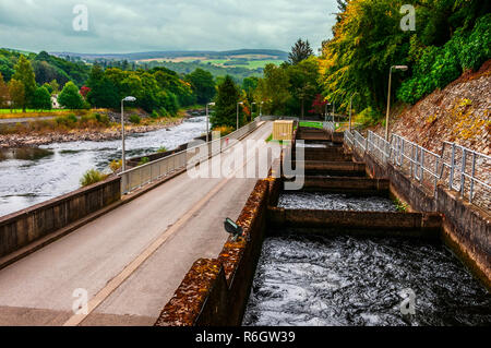 Pitlochry scaletta di pesce delimitata da un lato da un terrapieno roccioso dove alberi fioriscono e dall'altro da una strada a fianco del fiume turbolento Tummel Foto Stock