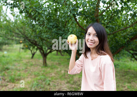 Donna raccolta una pera in una fattoria Foto Stock