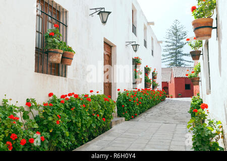 Strada stretta con vecchie case di pietra decorata con red gerani in fiore Foto Stock