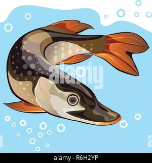 Pike subacquea, illustrazione vettoriale Illustrazione Vettoriale