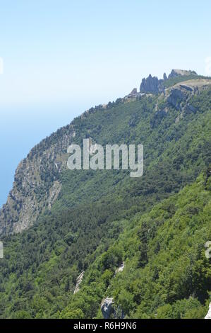 Rocky Mountain picchi, ripidi pendii ricoperti di verde della foresta contro il cielo blu Foto Stock