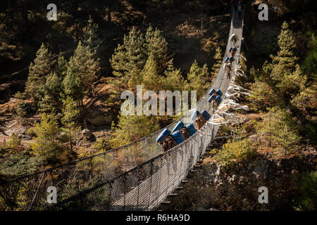 Il Nepal, Jorsale (Thumbug), mulo treno attraversando ponte di sospensione a Namche Bazaar oltre Dudh Khosi river Foto Stock