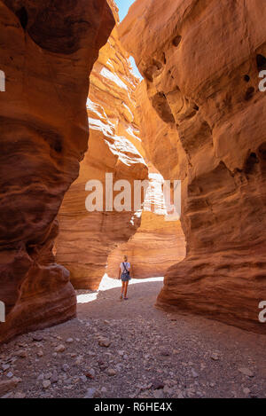 Un giovane adulto passeggiate nel Red Canyon nelle montagne di Eilat. Si tratta di uno di Israele la più bella ancora accessibili sentieri escursionistici. Foto Stock