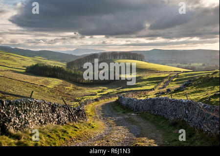 Pomeriggio autunnale su del The Pennine Way, Horton in Ribblesdale, Yorkshire Dales National Park Foto Stock
